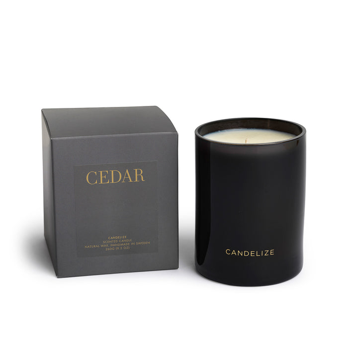 CEDAR Candle