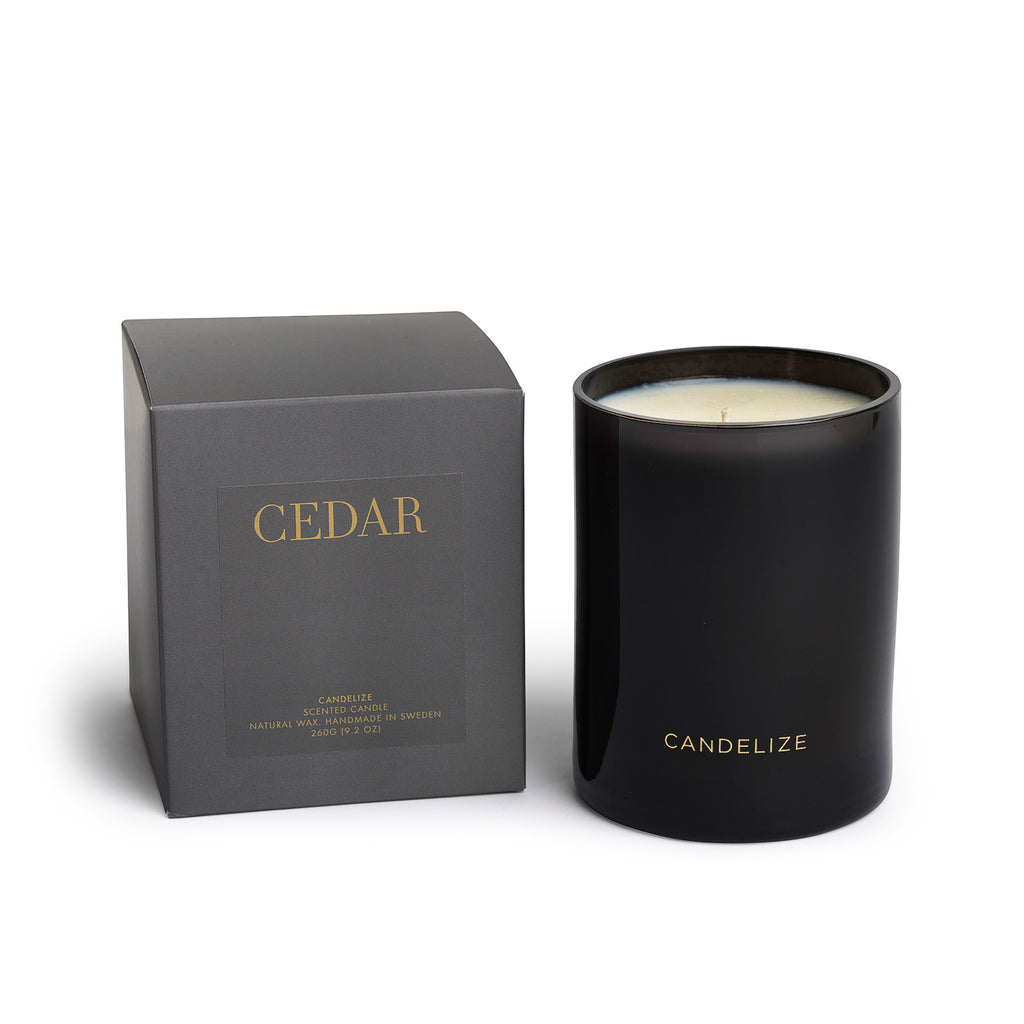 Cedar Candle & Refill